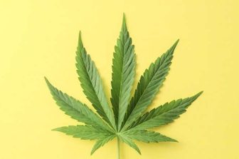 KCSA Strategic Communications Urges DOJ to Reschedule Cannabis, Highlighting Potential Benefits for Patients, Industry and Economy