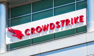 CrowdStrike Earnings to Reveal Cybersecurity Market Impact