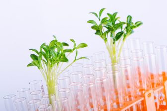 WILLOW BIOSCIENCES ANNOUNCES NEW PARTNERSHIP WITH A GLOBAL INGREDIENT MANUFACTURER TO ADVANCE DEVELOPMENT OF A HIGH VALUE INGREDIENT FROM ITS PORTFOLIO