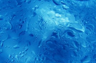 Precigen Announces $79.0 Million Private Placement Offering of Convertible Preferred Stock