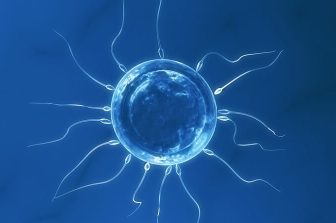 Breakthrough in Alzheimer’s Research