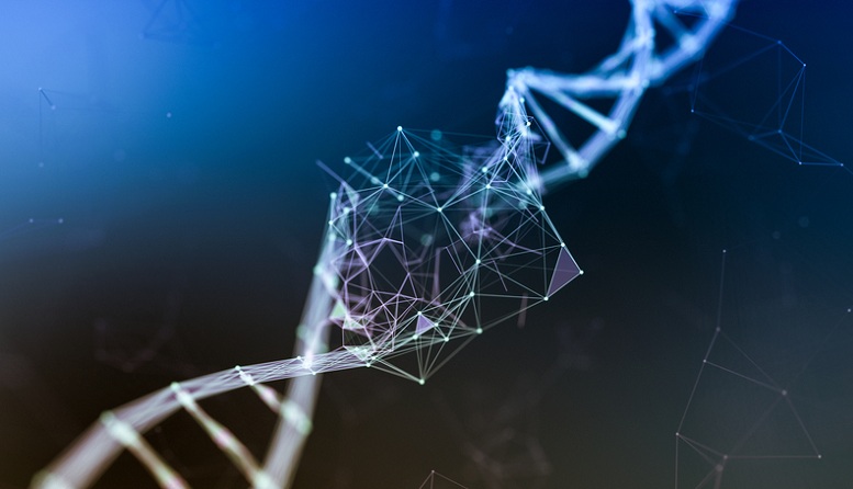 56ace42306c36bd7804b7e25f4846004 1