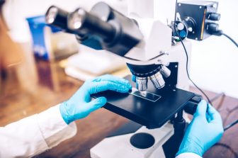 Eli Lilly Stock: Analyst Insights