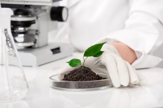 Vertex’s Major Win: Is It a Buy?