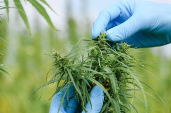 Standard Wellness Secures $14 Million Credit Facility from Advanced Flower Capital Retiring Existing Debt and Accelerating Strategic Growth Initiatives