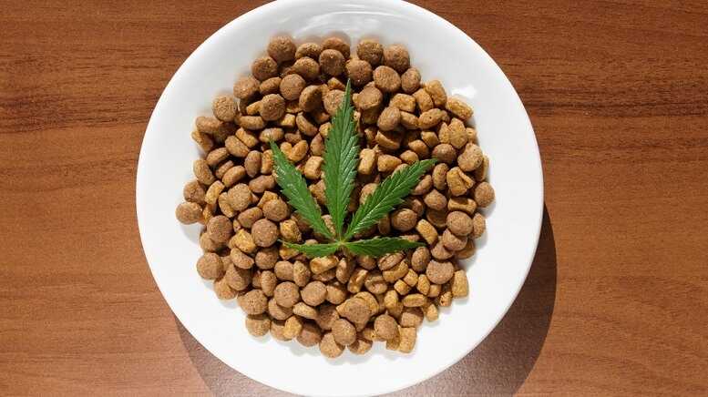 8f80adc00a2ce8b2d63d22034f7cb460 1