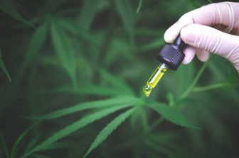 Decibel Announces First Quarter Results