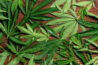 Can You Guess the Weight? Life Flower’s Summer Giveaway is in Full Bloom