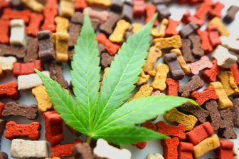 123Invent Inventor Develops New Accessory for Cannabis Smokers (PPH-104)