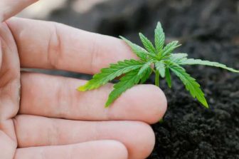 Aurora Cannabis Inc. Reminds Shareholders to Vote in Advance of the Proxy Voting Deadline for its 2025 Annual General and Special Meeting of Shareholders