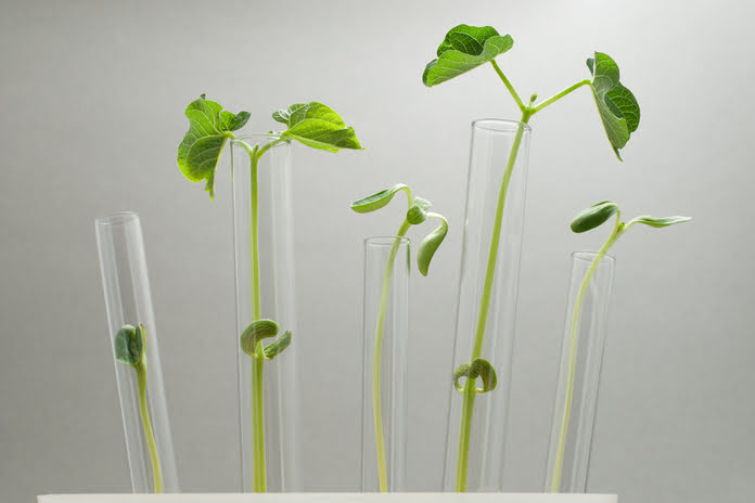 4e0ffdafb4f7b2c21306bf31d14655fa