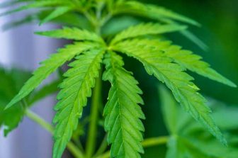 InventHelp Inventor Develops New Smoking Accessory for THC Concentrates (LBT-6003)