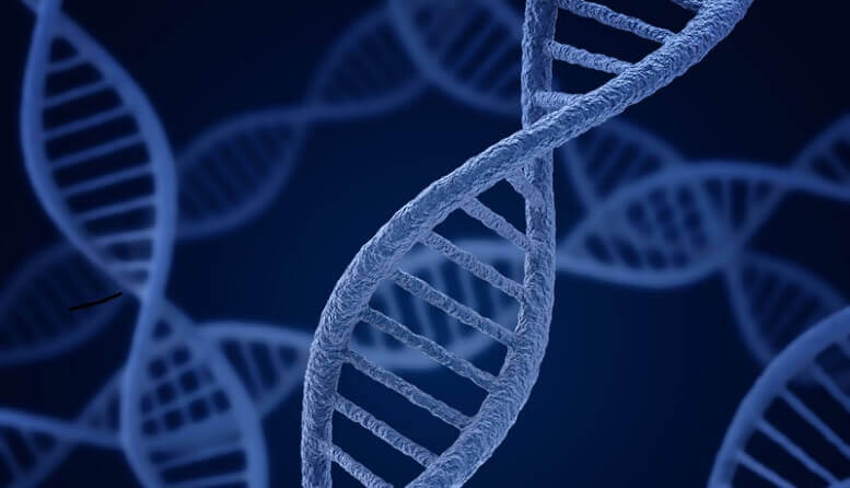 e07bd89a40a20fe1825cc9635c3b3b1f 1