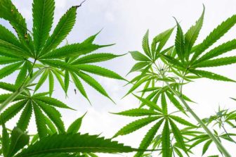 Can You Be Arrested for Having Medical Marijuana Outside of Your Home State? | Drug Crimes Attorney, Wichita, KS