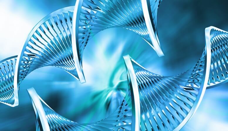 4a91565809471fd287ef0cbd9c85a247 2