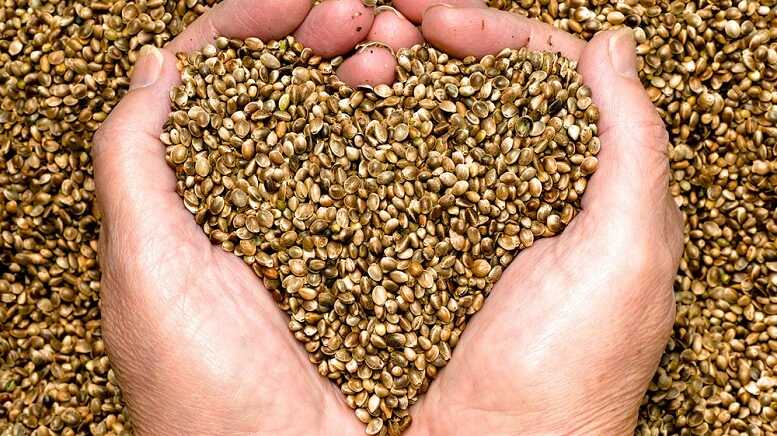 9db6bb53439f8aeb1da8863aec428f76 1