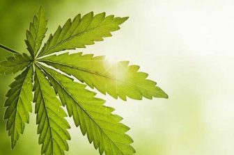 Gigli Glows Up: The THC Beverage Brand Lighting Up Mainstream Shelves