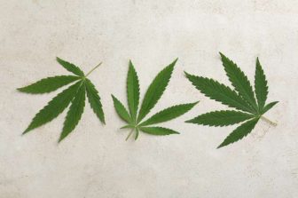 PBC Conference 2026 will highlight Cannabis Banking impact of Federal Cannabis Rescheduling