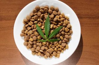 Curaleaf Enters into an Equity Purchase Agreement for the Virginia Assets of The Cannabist Company