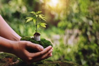 Rare Cannabinoid Company Expands Mood Collection with New THC-Free CBC Gummies with CBC and CBD