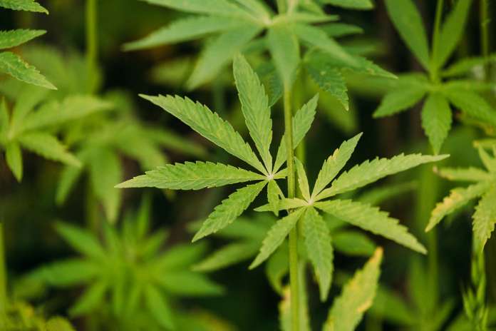 19c7ff10cd4d8611159ffea78751f9ed