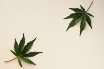 Galaxy Dispensary Rebrands as Stash Dispensaries in Richton Park, Illinois — Grand Opening Celebration Set for March 7
