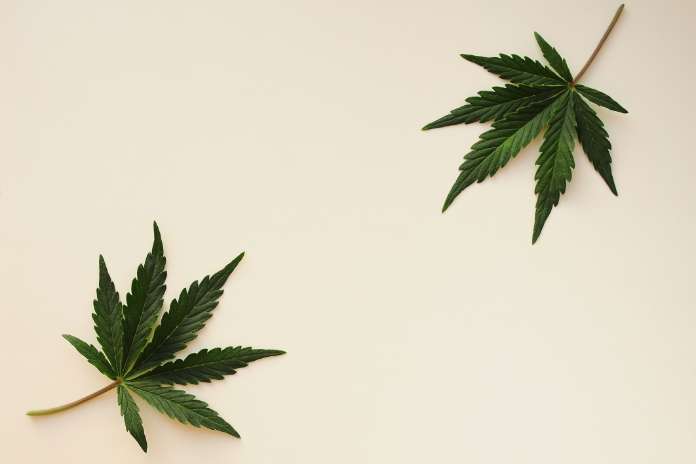 3b9a537ce379cb2640528c146d7c9edd