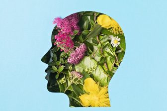 PureHealth Research Liver Health Herbal Supplements Deliver Milk Thistle for Optimal Enzyme Defense