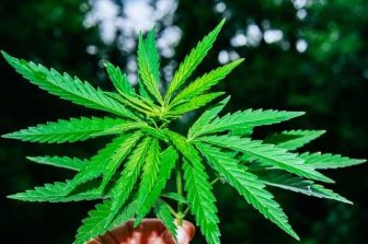 An InventHelp 123Invent Client Develops Modern Rolling Tray for Cannabis Users (BTK-600)
