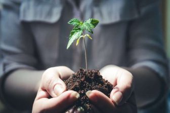 Speakeasy Dispensary to Open Eastern Kentucky’s First Medical Cannabis Dispensary in Ashland