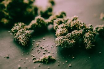 High Tide Announces Purchases of Shares by Insiders