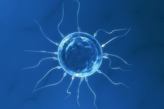 REGENXBIO Presents Positive Long-Term Data for Surabgene Lomparvovec in Wet AMD and Diabetic Retinopathy at American Society of Retina Specialists Annual Meeting