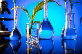Shattuck Labs Reports Second Quarter 2026 Financial Results and Recent Business Highlights