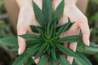 High Tide Continues Canadian Expansion with Three New Canna Cabana Locations